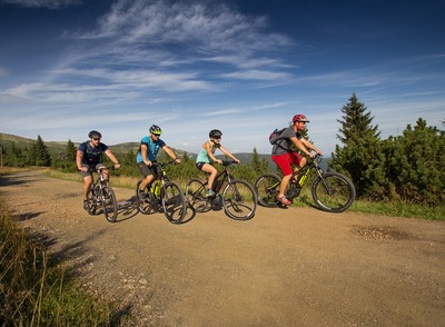 Mountain bike rental