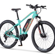 Electric bikes