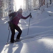 ski touring 